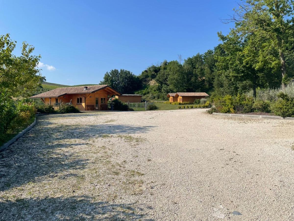 Colleolivi Apartment Serra deʼ Conti Екстериор снимка